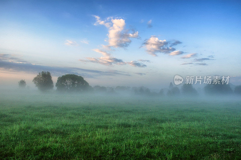 春天的早晨。一个雾蒙蒙的黎明，在风景如画的草地上。太阳光