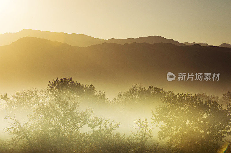 温暖的日出在海角酒乡清晨朦胧的剪影树和山景