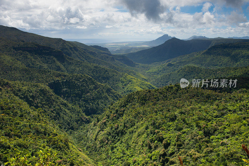 美丽的热带雨林黑河峡谷国家公园在毛里求斯岛。