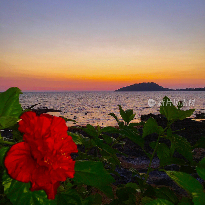 日落在诺西比岛与花的海滩上