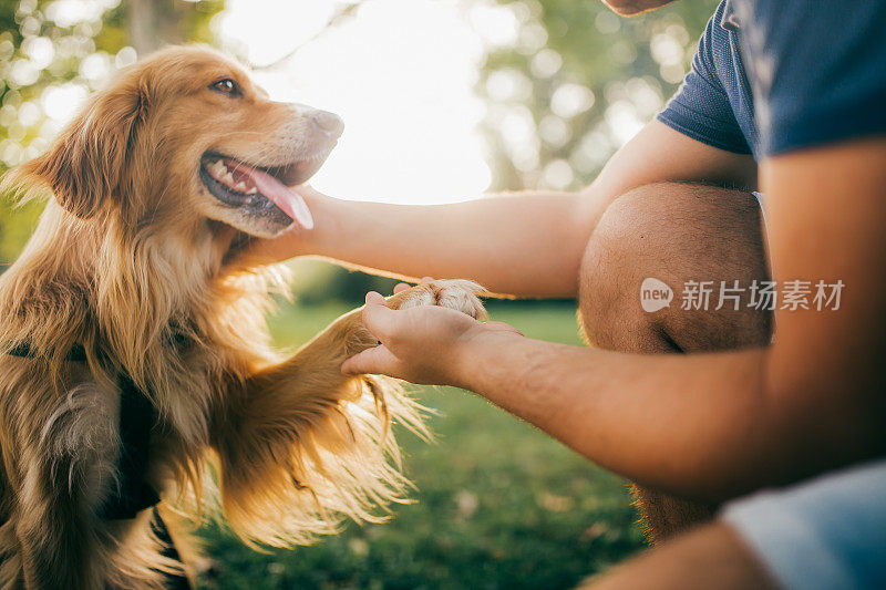 盖伊和他的狗，金毛猎犬，在城市公园。