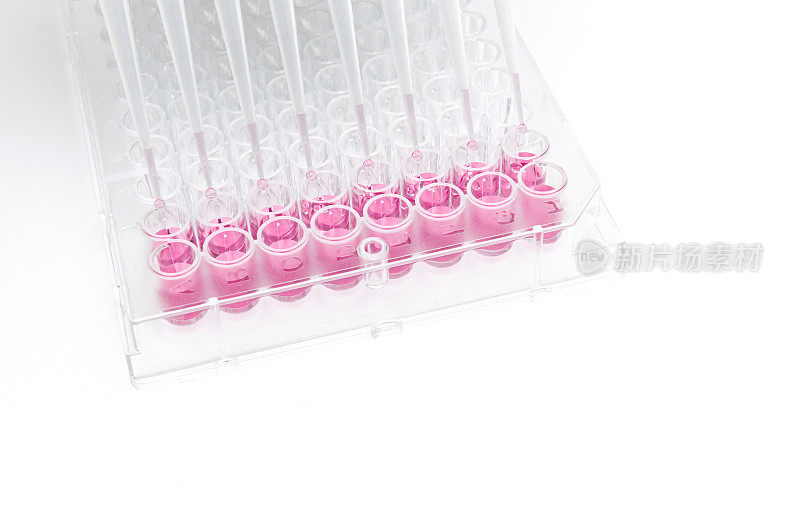 多通道移液管和96孔透明平板用于细胞检测