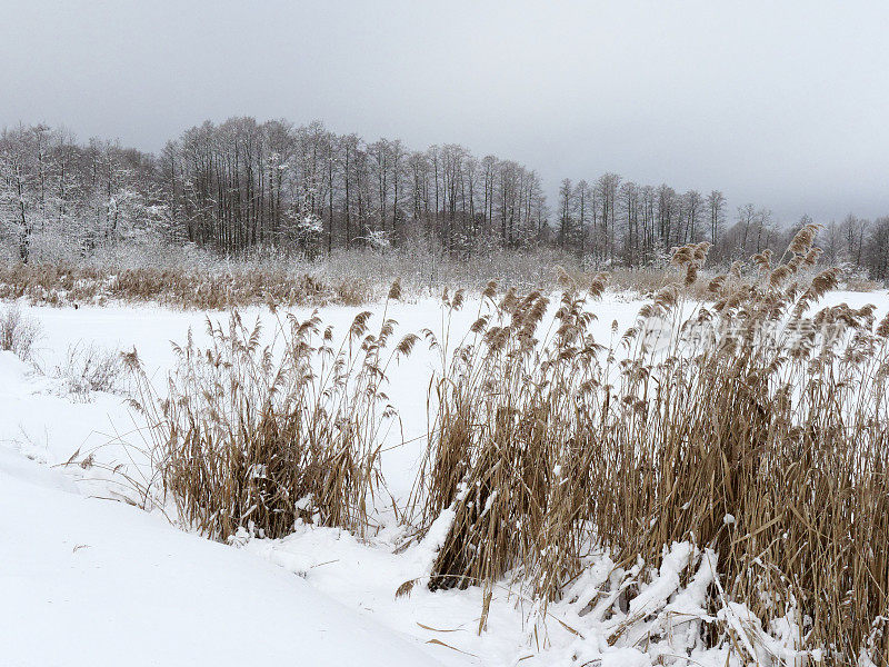 白雪覆盖的湖