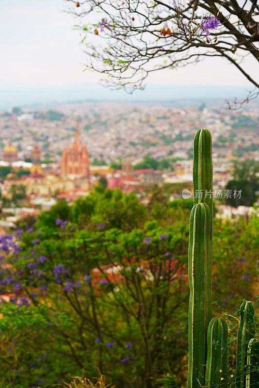 天际线Guanajuato