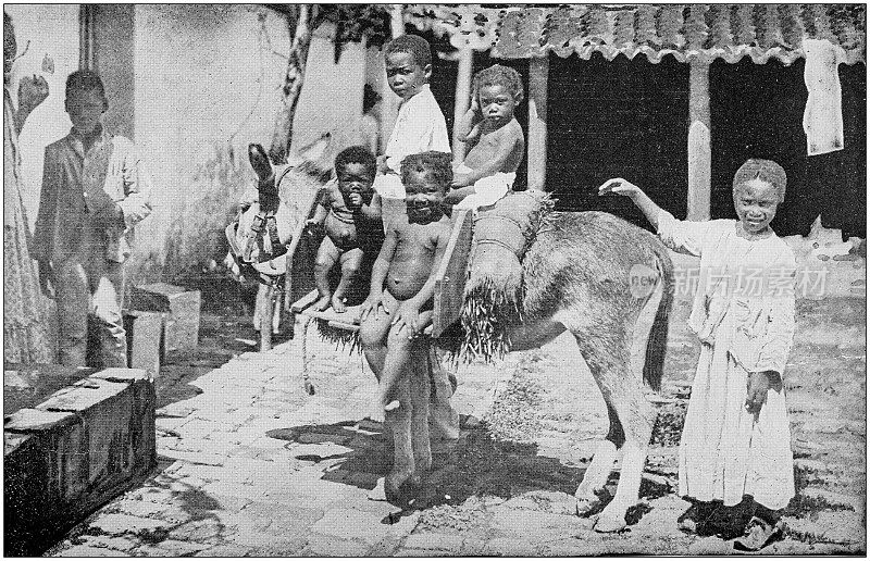美国陆军黑白照片:古巴哈瓦那的孩子和驴