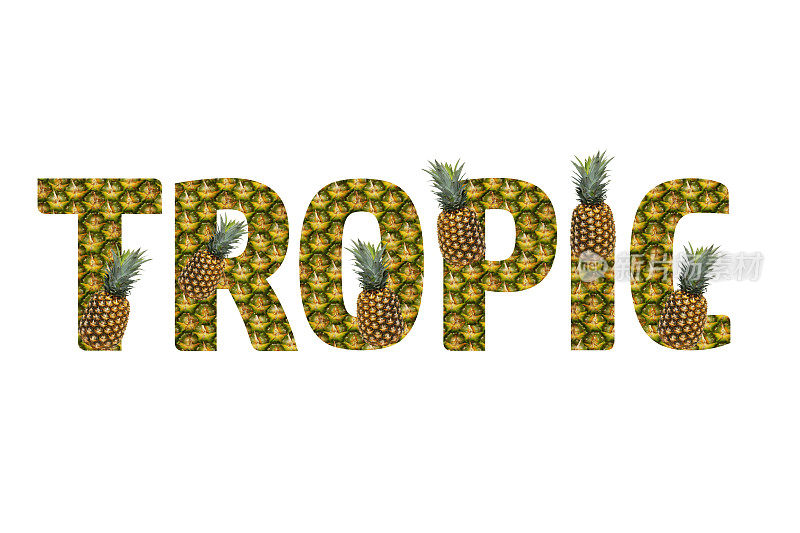 单词“TROPIC”由菠萝在白色背景上制作而成。热带水果菠萝是夏季饮食。