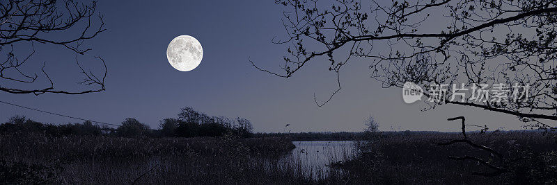 湿地中湖泊的网络横幅图像，经过数字处理，呈现了头顶满月的夜晚景象。