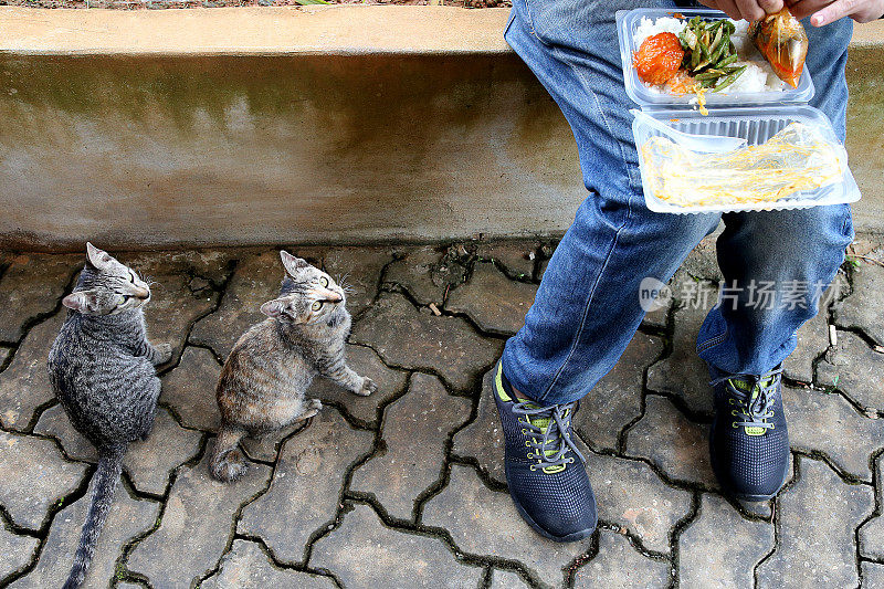 吃饭的时间到了!Meowwww……