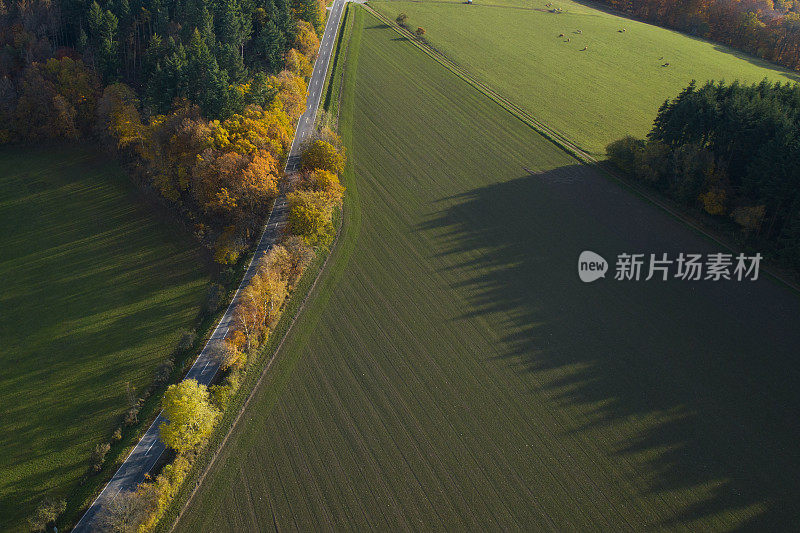 鸟瞰图的乡村道路和秋天的风景