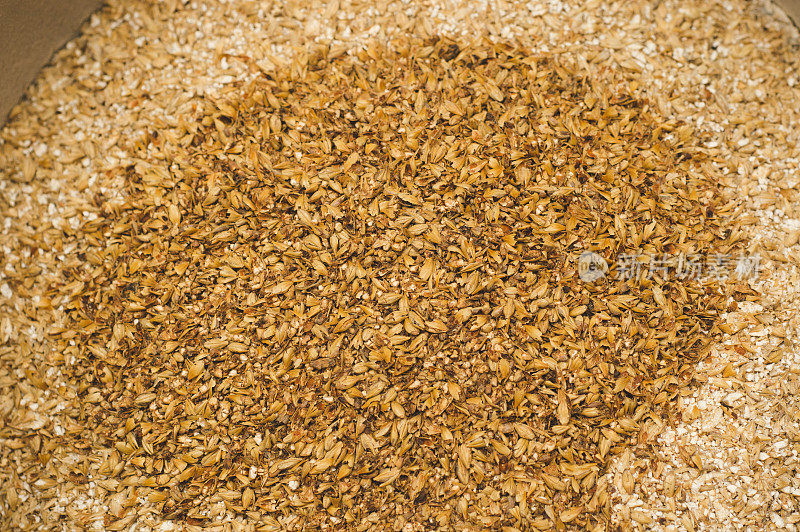 焦糖麦芽与轻麦芽磨碎。以大麦、淡麦芽为原料酿造的精酿啤酒。用比尔森麦芽酿制的淡啤酒或贮藏啤酒