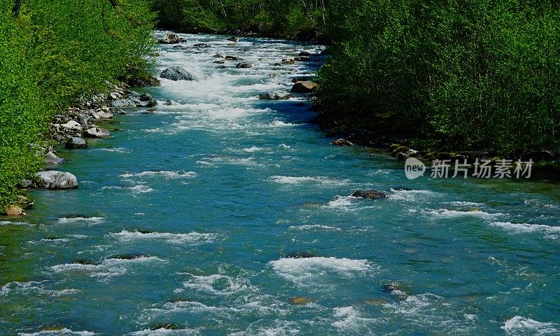 淡水贝克山森林