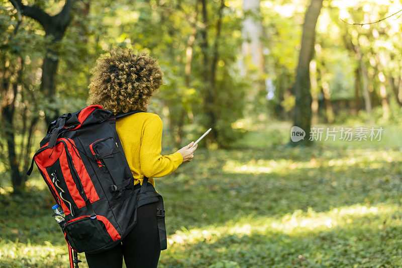 年轻的女研究员在森林里。在自然领域工作的女性生物学研究员