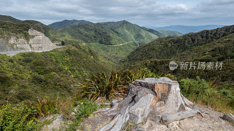 从日木塔卡山顶(上山，新西兰)俯瞰全景