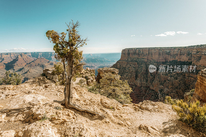 亚利桑那州大峡谷鸟瞰图