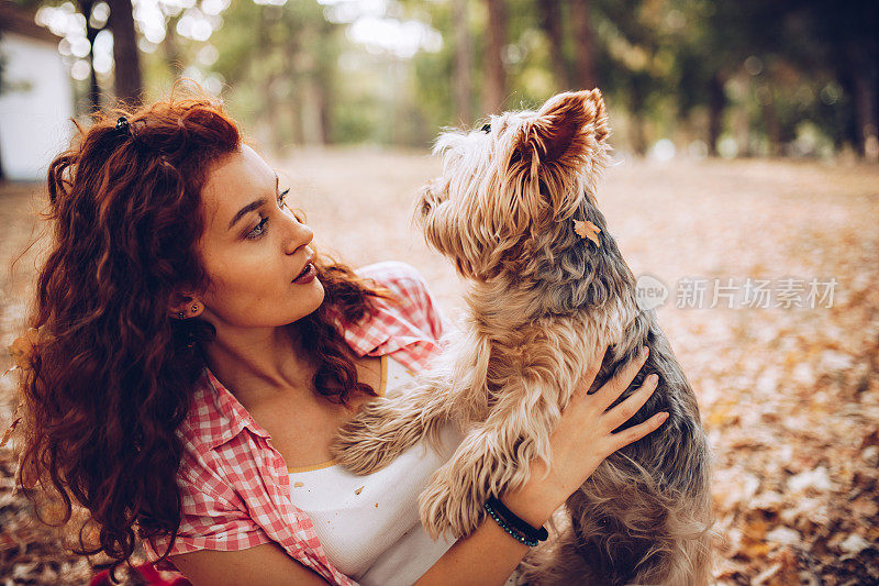 美丽的年轻女孩和她的约克夏梗犬