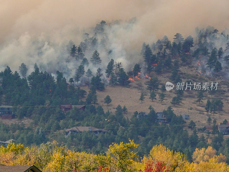 山坡上的森林大火烧毁了房屋