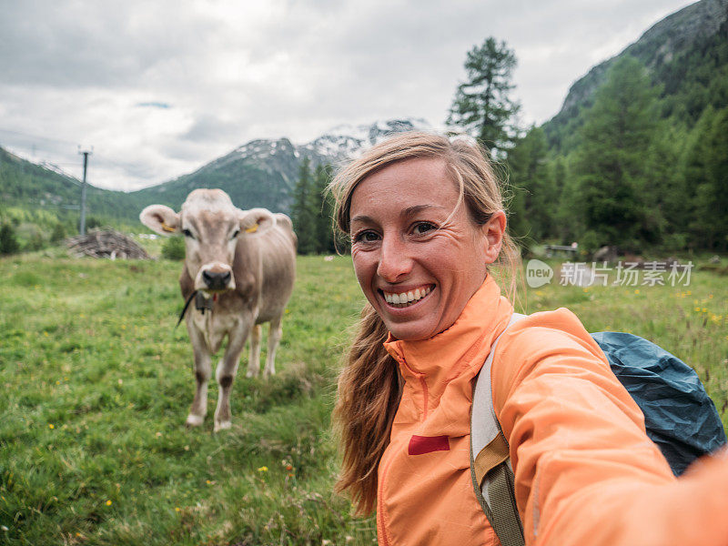 快乐的女人有乐趣与奶牛在草地自拍
