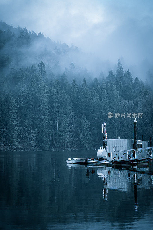 海边雾蒙蒙的雨林