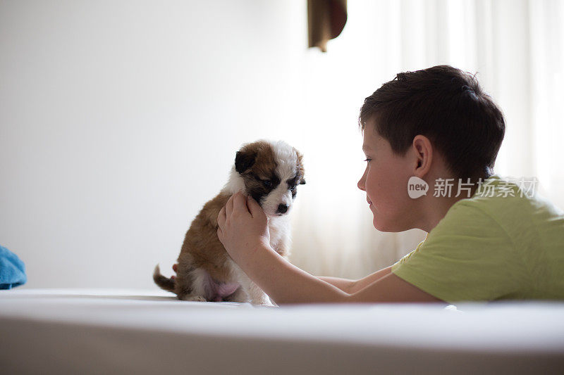 抚摸着可爱的毛茸茸的小狗。小男孩躺在他的狗旁边。