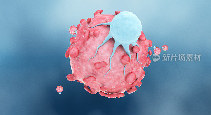 t细胞靶向癌细胞
