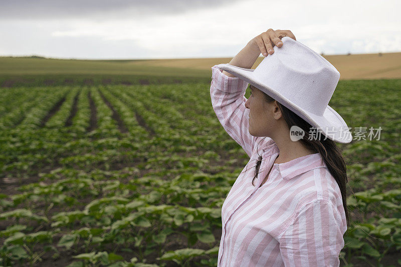 农妇在农田中间用药片检查向日葵。散步和检查植物。农业职业。