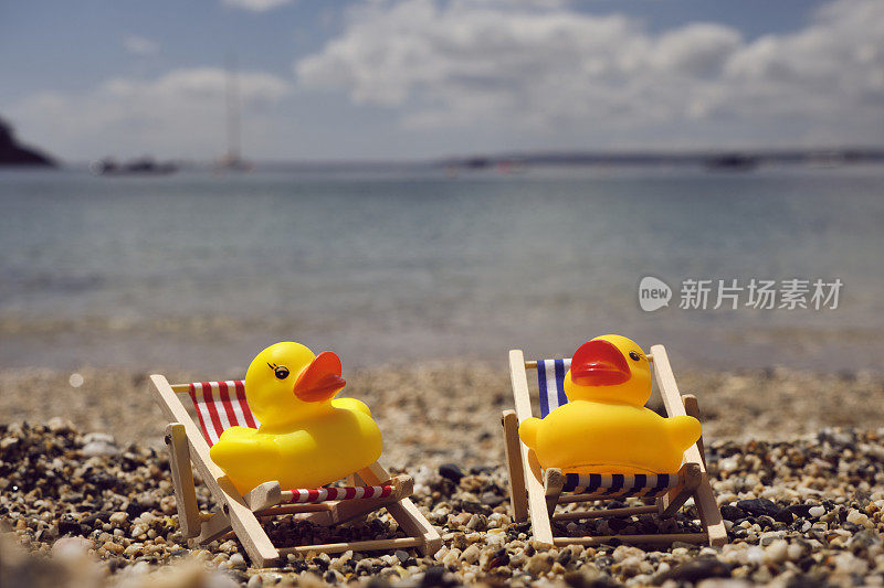 6月的一个阳光明媚的日子里，康沃尔圣莫斯卵石海滩的海岸线上，两只橡皮鸭坐在迷你躺椅上。