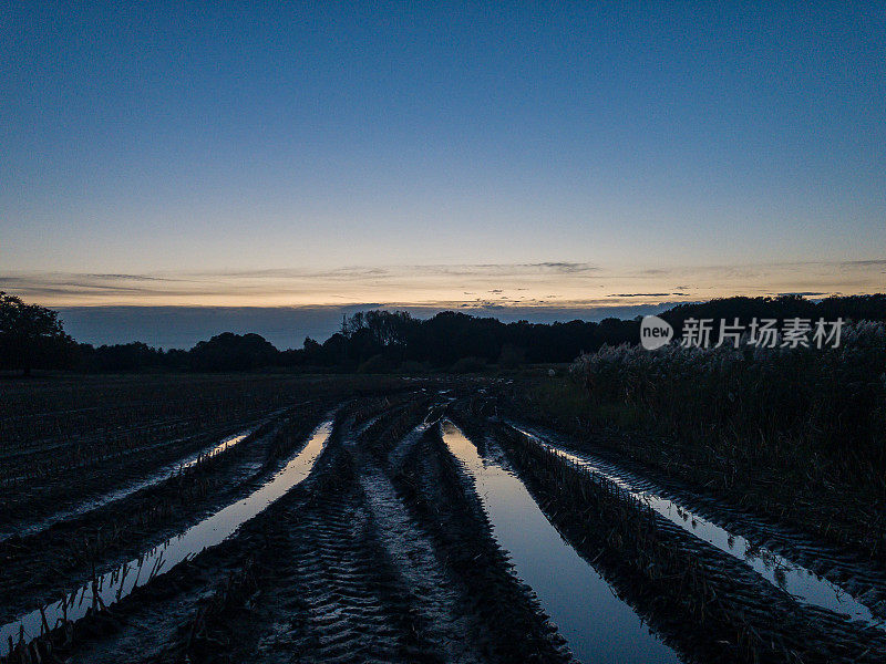 雨后的一片田地，到处是水和拖拉机的足迹。