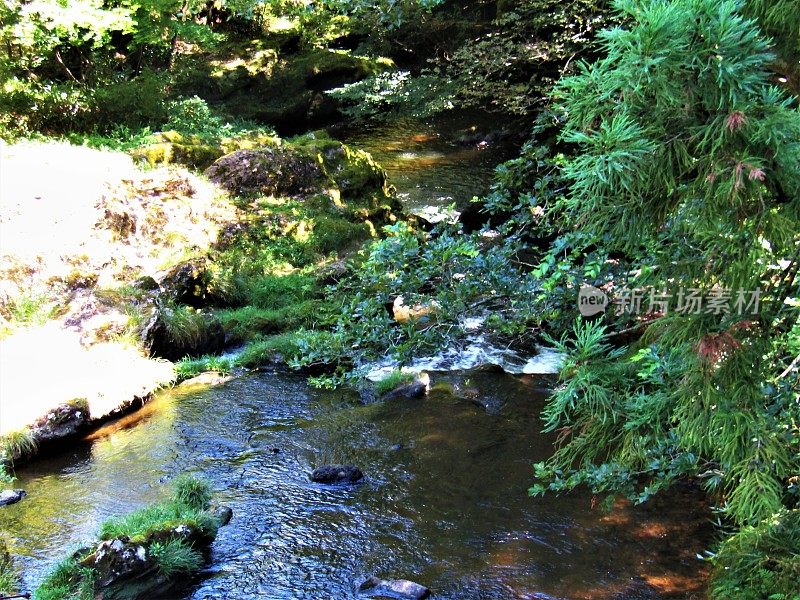 日本。八月里晴朗的一天。小山河