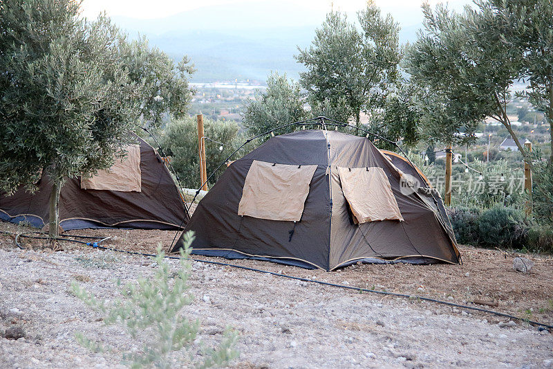 春季野营时，森林里的帐篷