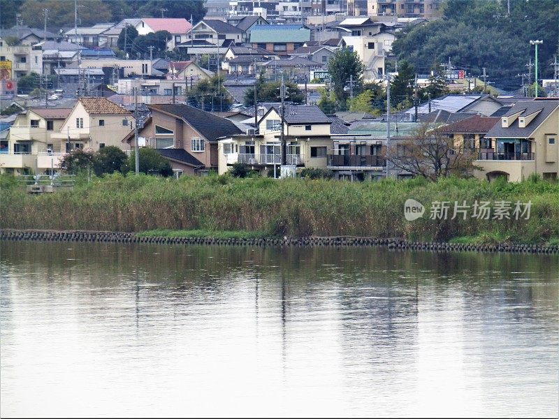 日本。9月。特加奴马湖畔的阿比科城。