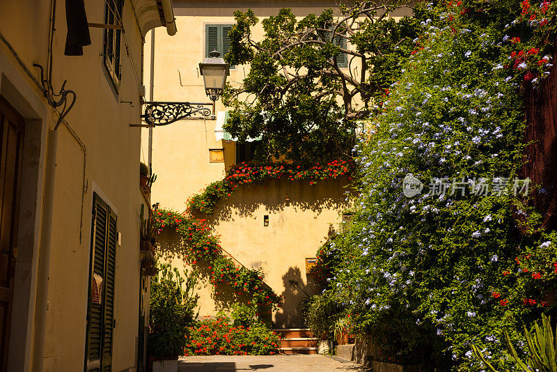 在意大利的厄尔巴岛，一所房子的入口处，一个美丽而多彩的院子里鲜花盛开。