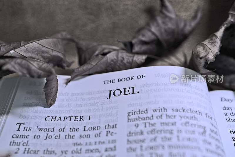 打开圣经约珥书的背景和灵感