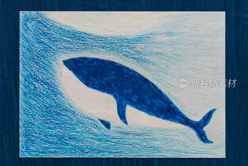 孩子的画鲸鱼