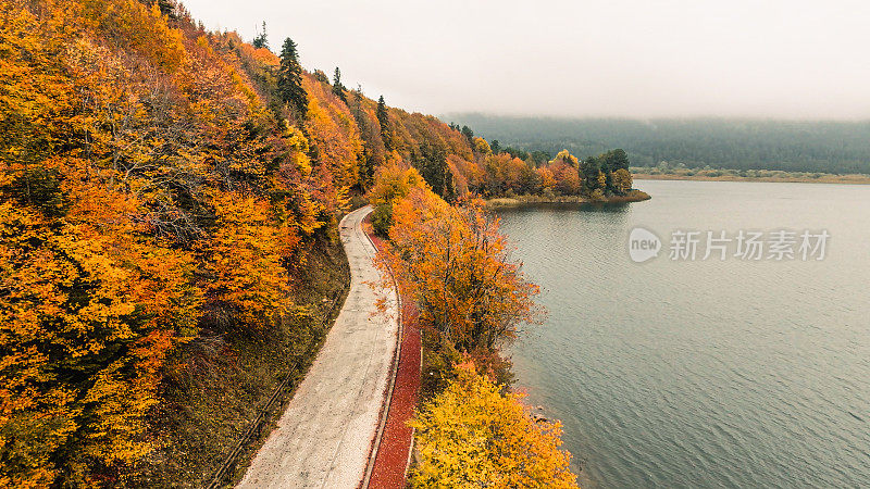 色彩缤纷的秋林湖畔道路鸟瞰图，秋林乡村道路鸟瞰图，经过高山湖泊的森林道路，秋色的森林道路和湖边，秋色背景道路和湖泊，阿班特湖自然公园