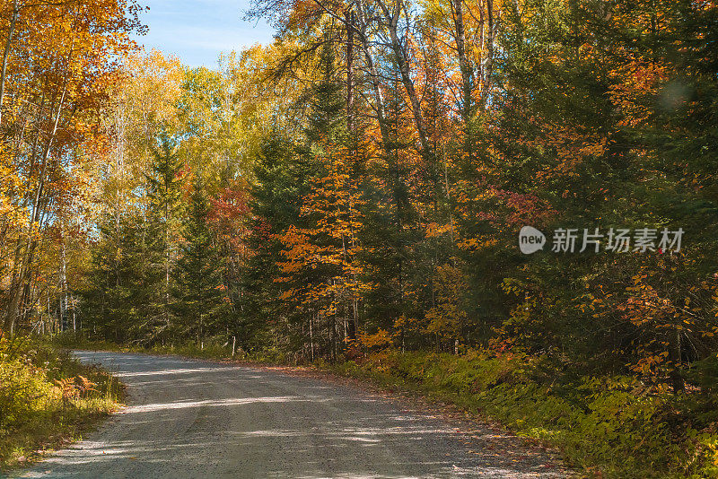 秋景-沙砾土路，彩树蓝天