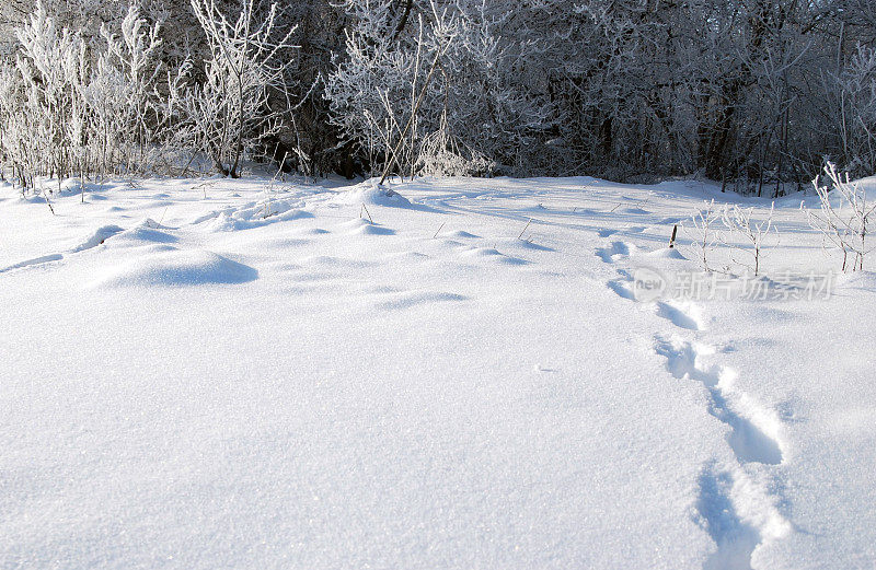 雪