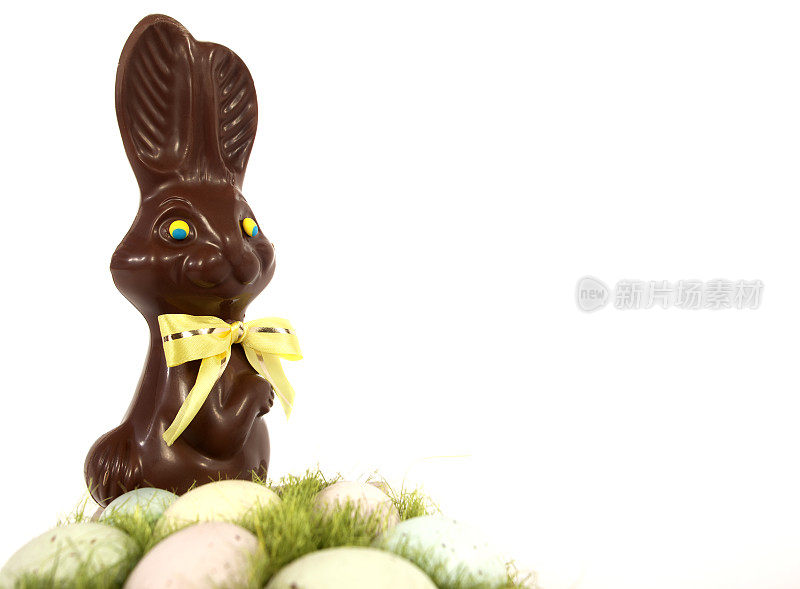 巧克力复活节兔子