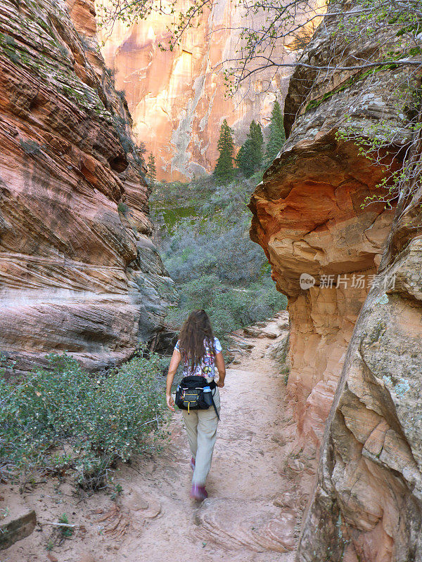 女子徒步锡安国家公园沙漠观察点步道犹他州