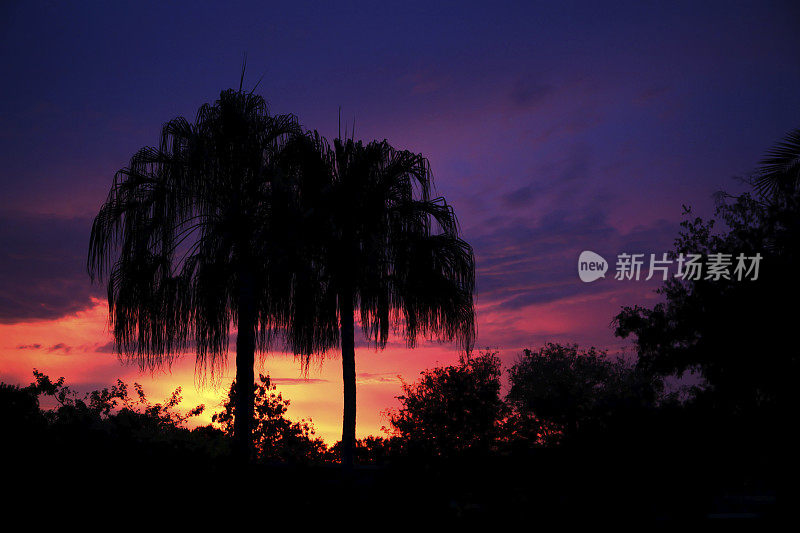 迈阿密的夕阳