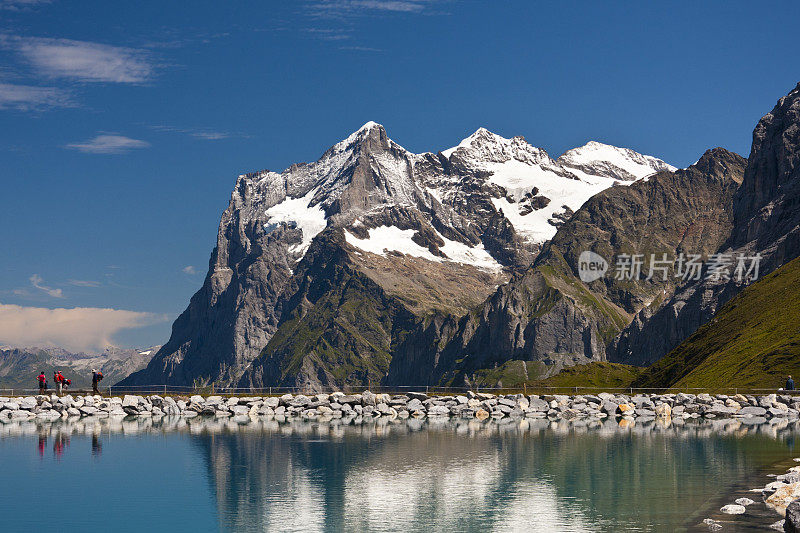 Wetterhorn,瑞士阿尔卑斯山