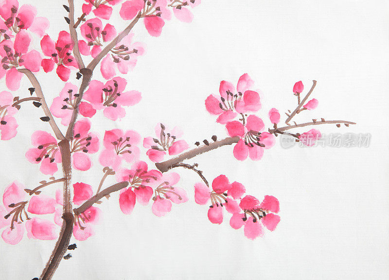 中国花卉画