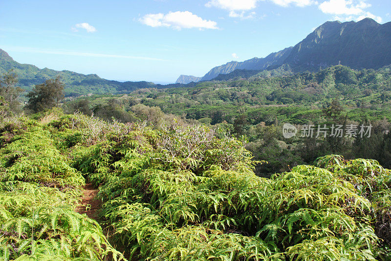 夏威夷库劳山徒步旅行路线