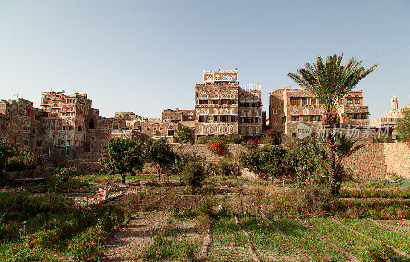 也门花园和城市建筑