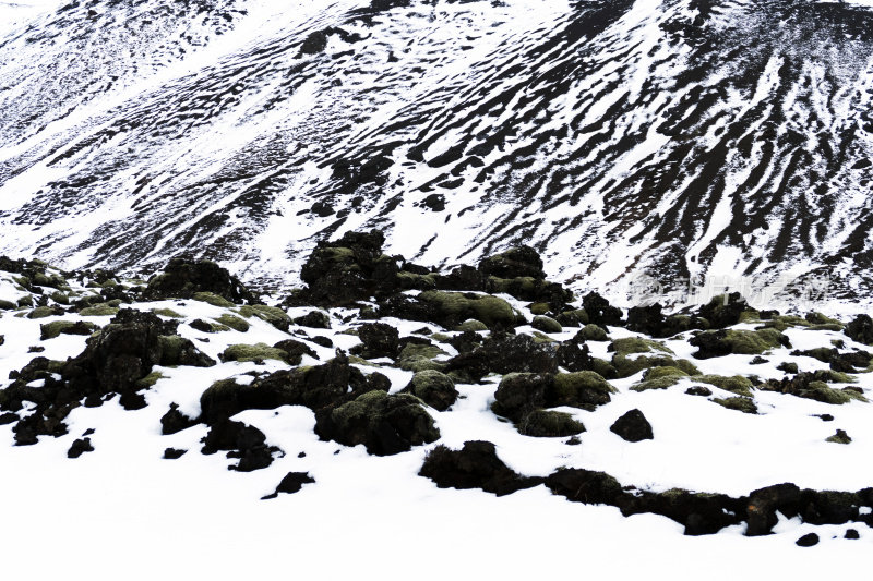 冬天，冰岛覆盖着苔藓的熔岩田