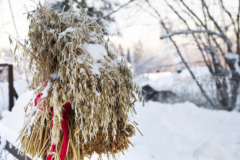 圣诞一串串的谷粒为鸟儿在雪景中祈福。