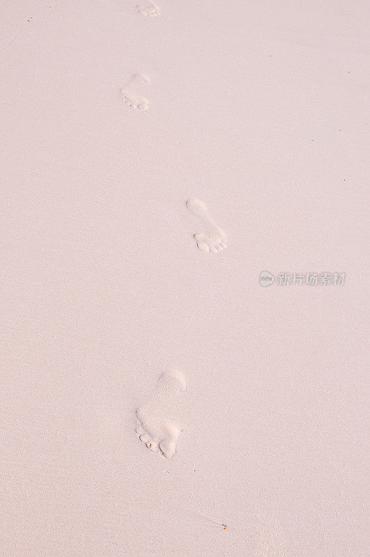 百慕大美妙的粉红色沙滩上有女人的脚印。