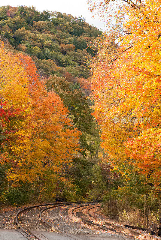 秋天的颜色和废弃的铁轨马萨诸塞州谢尔本瀑布
