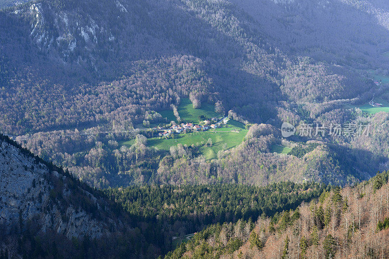 村庄在山和森林