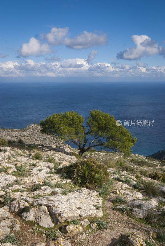 地中海(马略卡岛-西班牙)