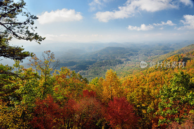 清晨，秋色顶峰的大烟山